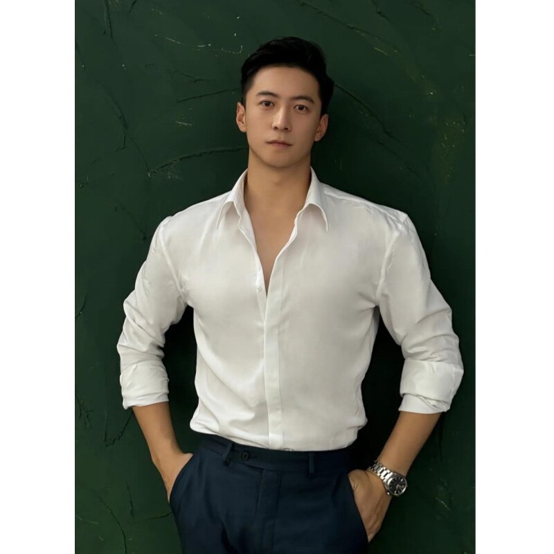 Estilo legal primavera outono high-end camisa masculina luz estilo maduro high-end camisa de manga comprida na moda tern