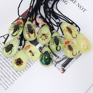 Colar de Inseto Real em Resina, Joia com Pingente de Inseto Luminoso em Âmbar