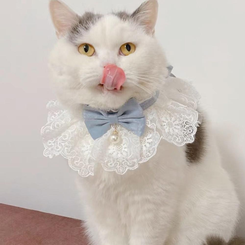 TKEY Laço Bowknot Pérola Colar Gato Cão Neckerchief Pet Gatinho Filhote De Cachorro Corda Babador Gravata Pescoço Acessó