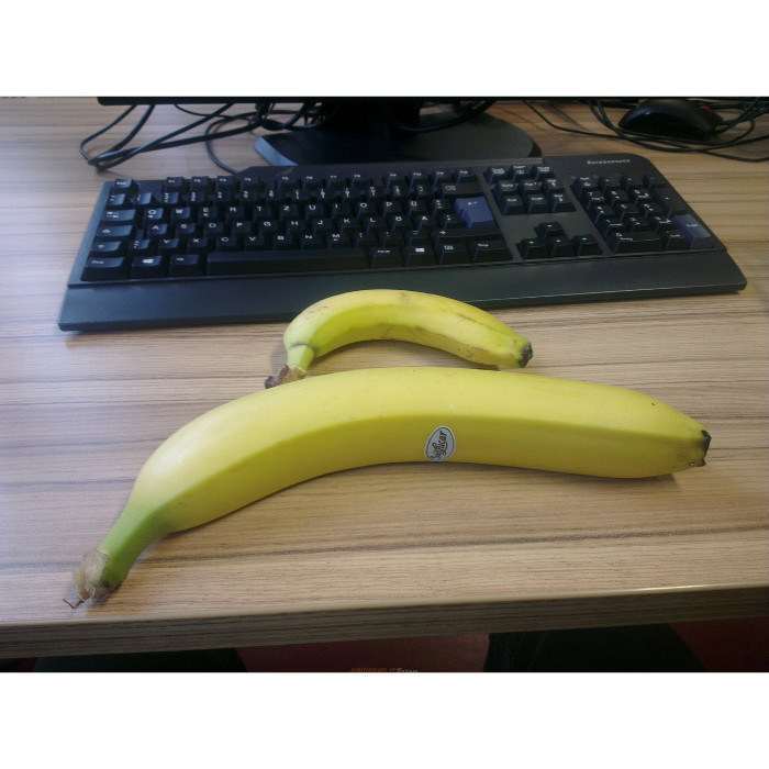 100 sements banana de metro com manual de cultivo h top PROMOÇÃO