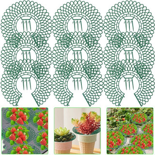 5 Unidades De Suporte De Morango-Ferramenta De Estufa-Rack Frutas-Estrutura De Cultivo De Plantas-Com 3 Pés Resistentes-