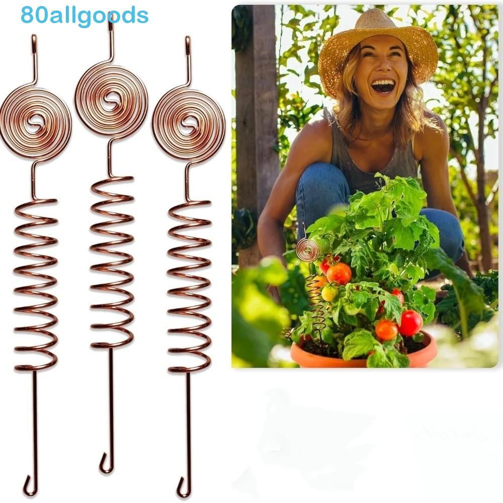 ALLGOODS1 3 Peças De Estacas Para Plantas De Eletrocultura , Antenas De Bobina De Jardinagem Multiuso De Cobre , Suporte