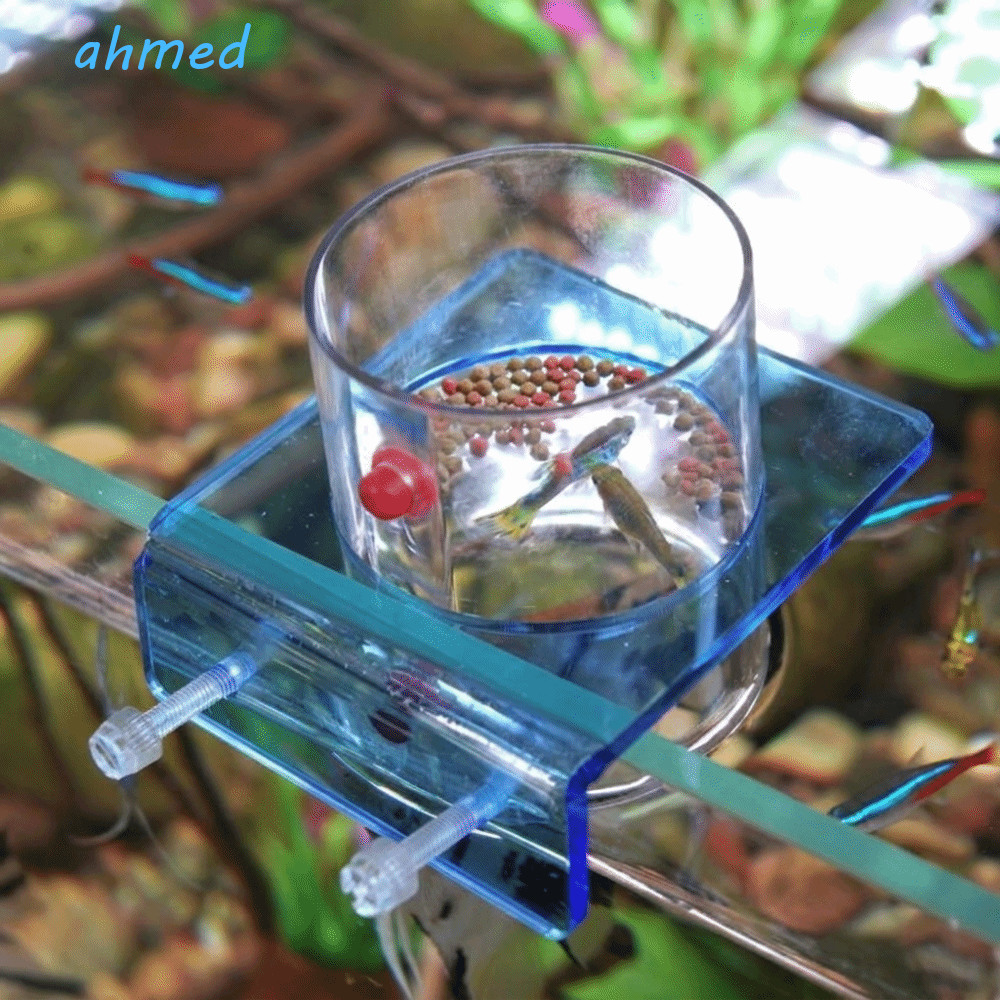 Anel De Alimentação De Peixes AHMED , Alimentador De Tanque De Plástico Dispensador De Ponto Fixo , Tigela Aquário Monta