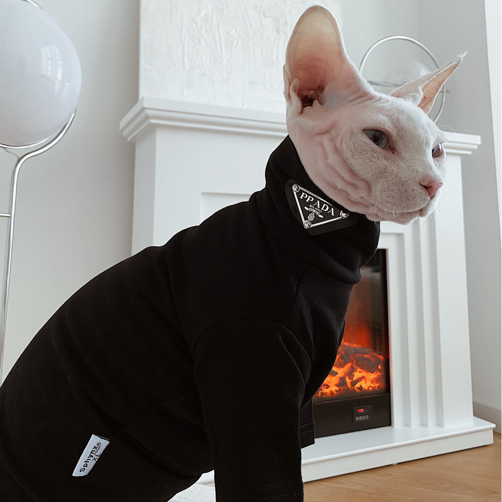 SPHYNX PLANET Roupas Alemãs Esfinge Gato Sem Pêlos Primavera Base de Algodão Puro Cai Xukun Animal de Estimação Moderno