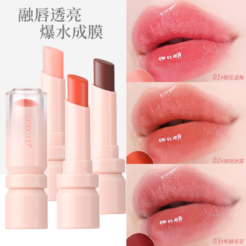 2025 Novo estilo batom que muda de cor hidratante hidratante de longa duração esmalte labial proteção labial Anti-secage