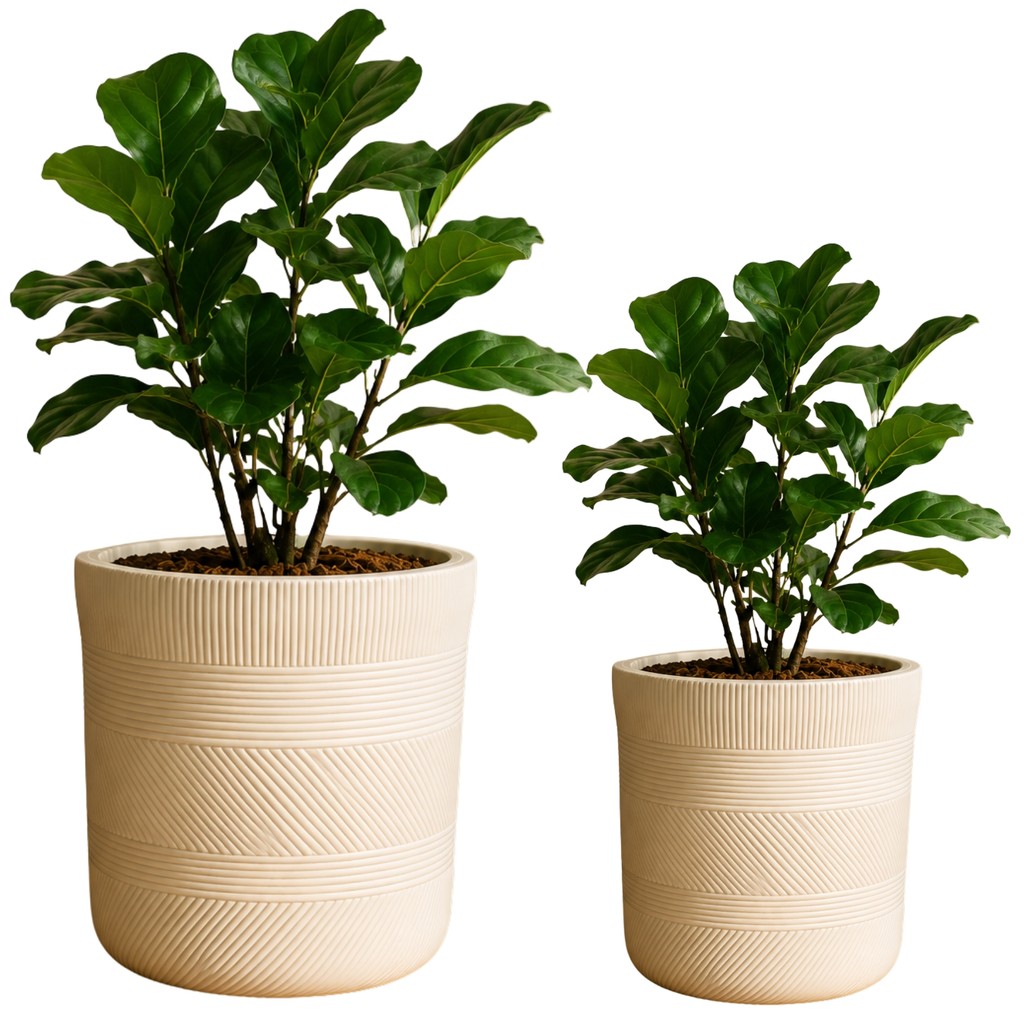 Vaso de Plantas Branco Texturizado Moderno para Decoração Salas e Jardim - Castela