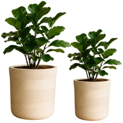 Vaso de Plantas Branco Texturizado Moderno para Decoração Salas e Jardim - Castela