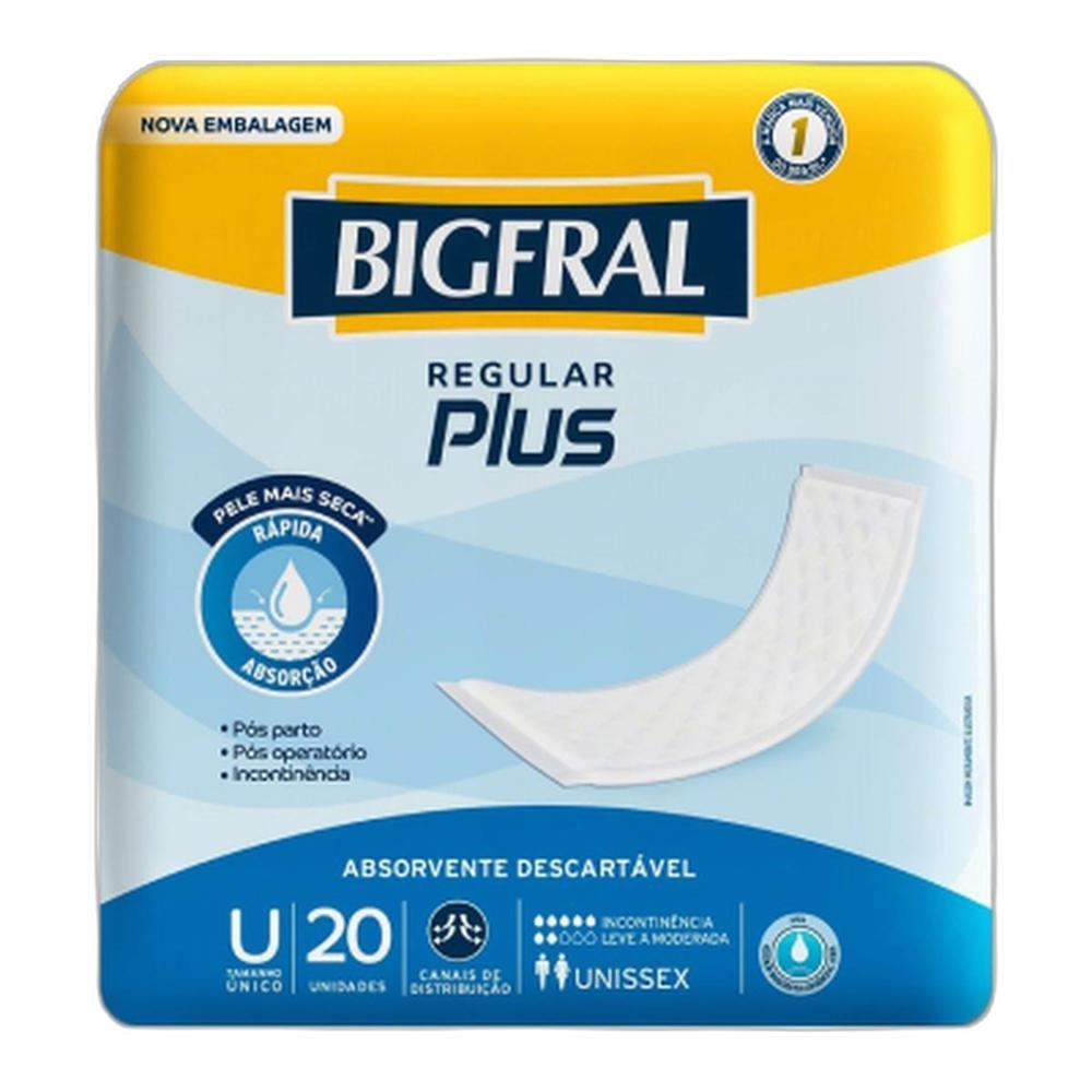 Absorvente Geriátrico Bigfral Plus Regular 20 Unidades