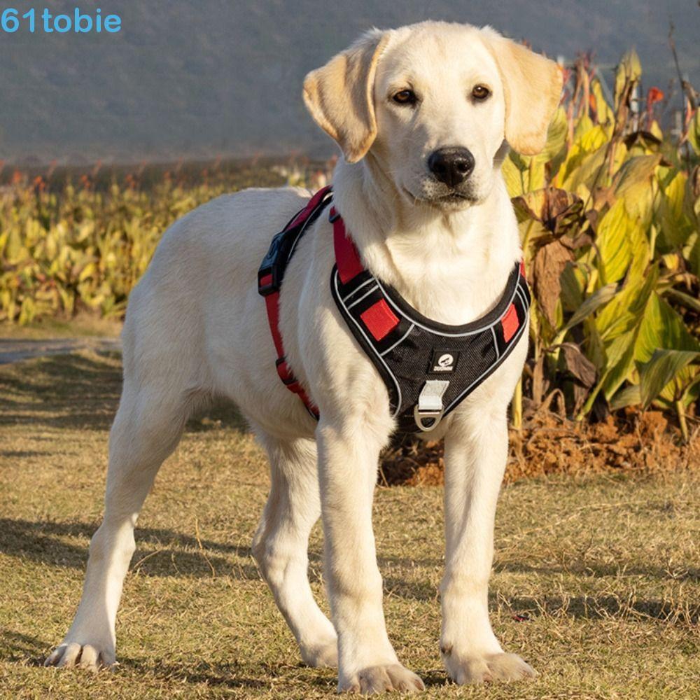 Arnês Para Cães Tipo Colete TOBIE , Alça Peitoral Leve Ajustável Reflexiva Durável Sem Tração