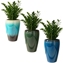 Vaso De Plantas Moderno Resina Grande Vietnamita Para Decoração - Castela