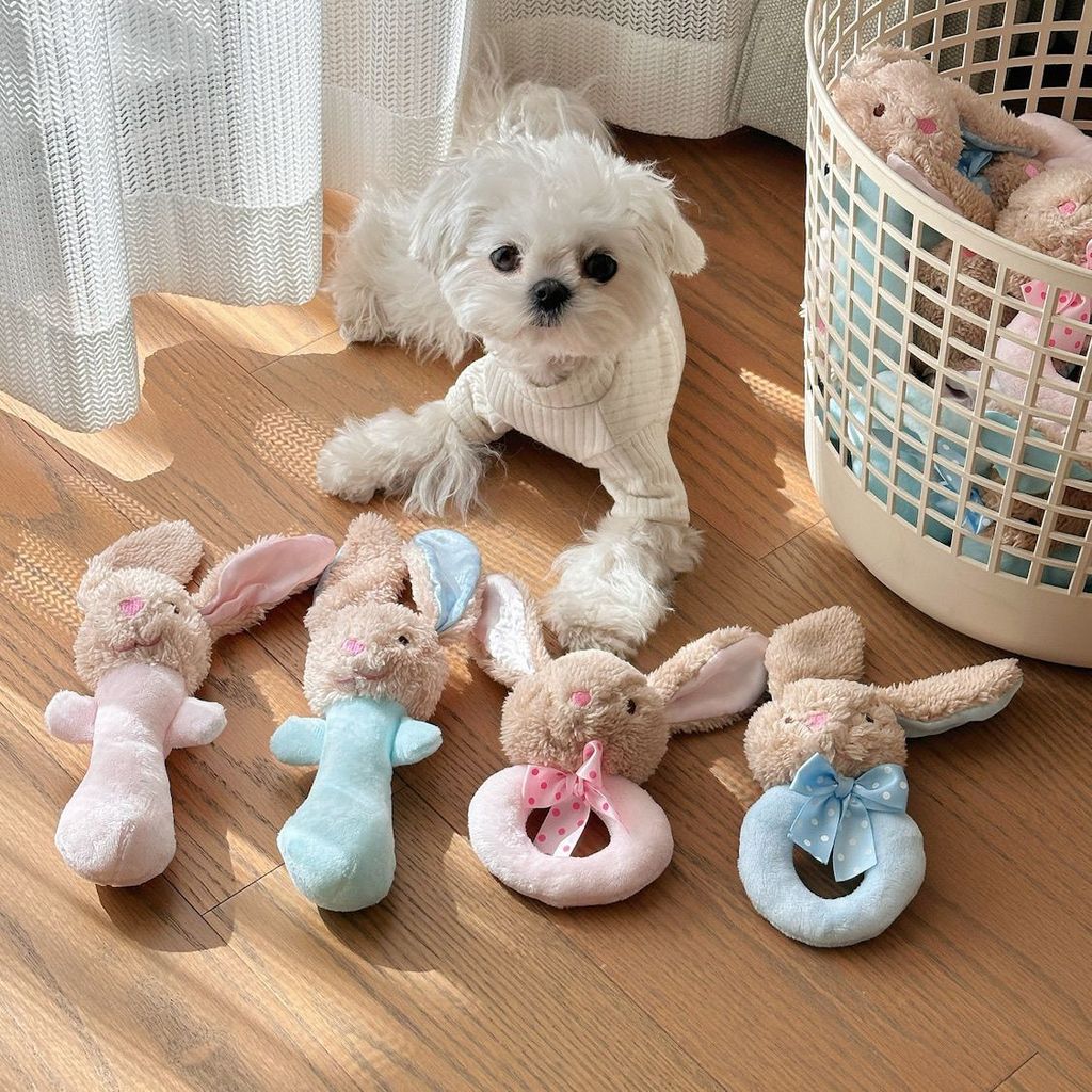 Brinquedo de voz para animais de estimação, chocalho fofo, coelho, animal de estimação, boneca interativa de desenho ani