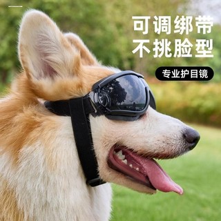 Schnauzer óculos de sol especiais para cães pequenos ciclismo à prova de vento óculos para animais de estimação acessóri
