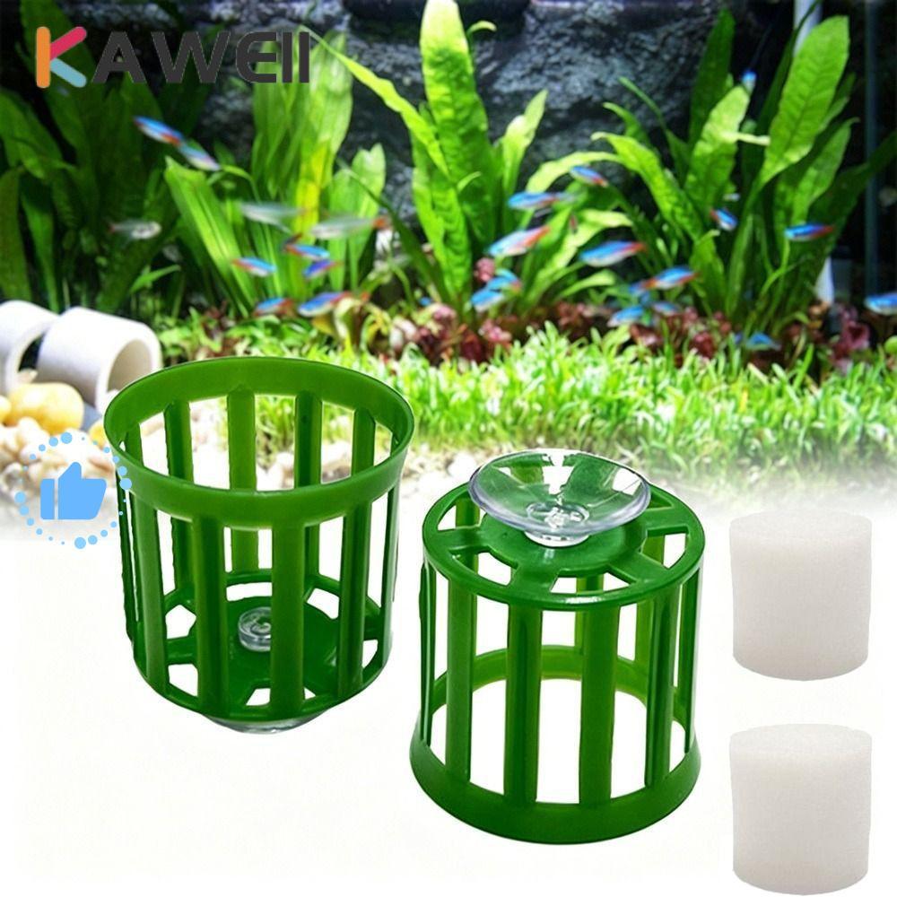 Anel Fixo Para Planta De Aquário KAWEII , Suporte Estável Plantas De Tanque De Peixes Com Ventosa