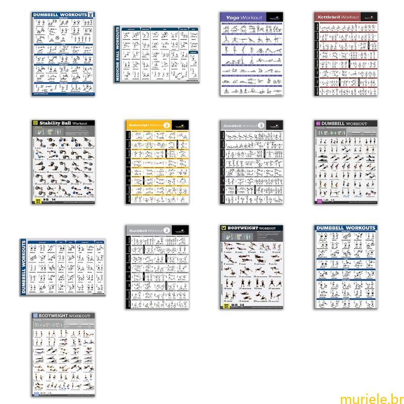 Mur Training Chart Art Wall Posters Adesivos Parede Para Musculação Academia Esporte Fitness