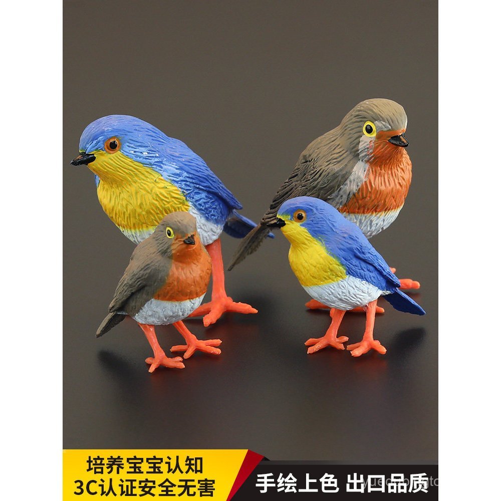 Novo conjunto de modelos realistas de animais infantis, brinquedo de animais, pisco-pisco, pássaro de peito vermelho, pr