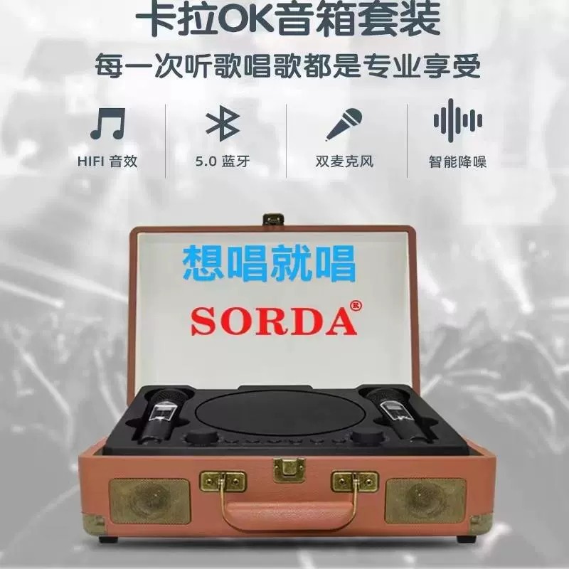 Ao ar livre cantando discurso Subwoofer sem fio portátil mala Bluetooth alto-falante K música microfone duplo máquina tu