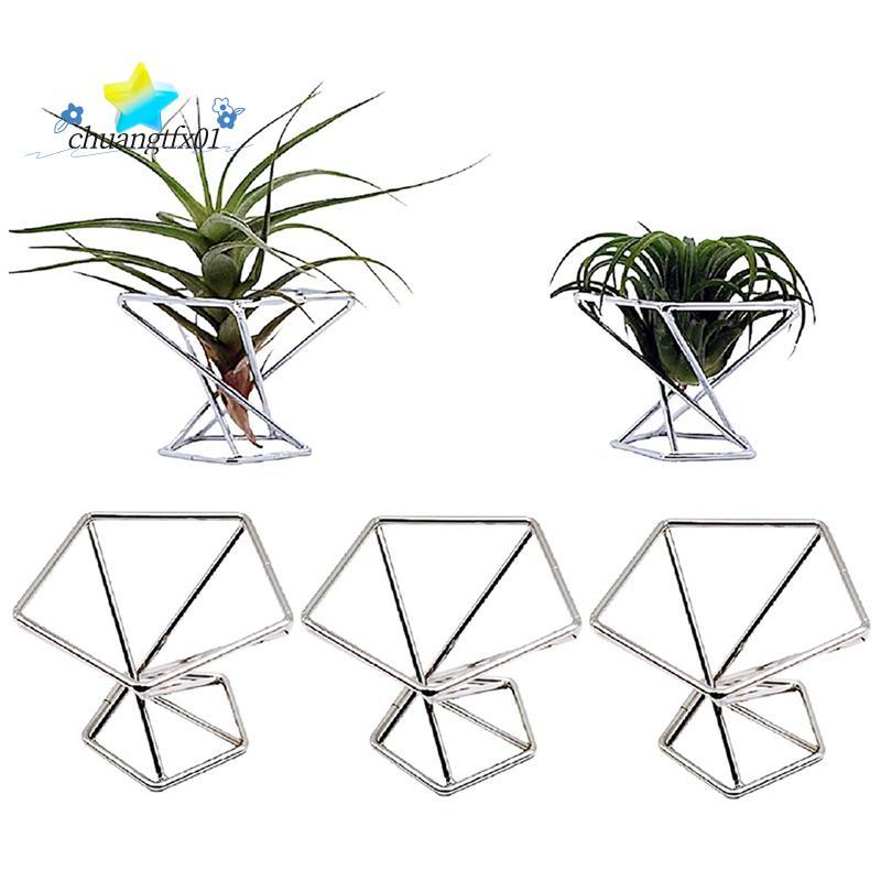 [Promover C] Pack 5 Suporte Para Plantas De Ar Suportes Tillandsias Display Recipiente Purificação Samambaia , Prata