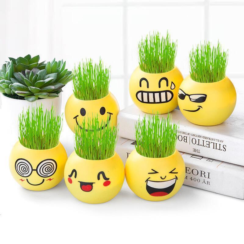 Mini Boneca de Grama DIY, Boneca de Cabeça de Grama, Planta em Vaso com Íons Negativos, Decoração de Mesa, Presente para
