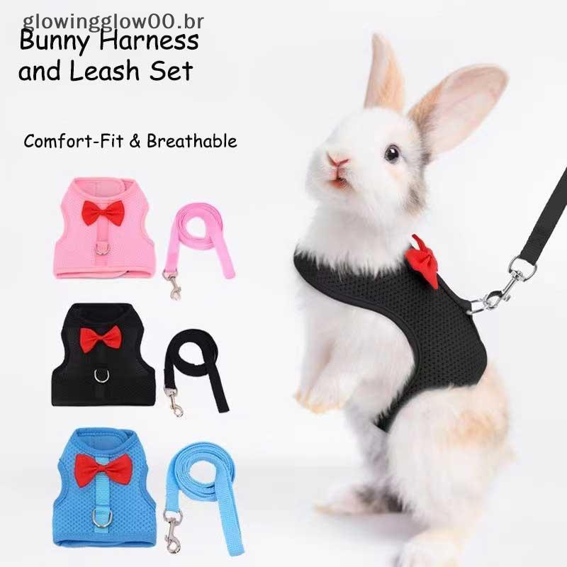 Conjunto De Arnês E Trela Para Coelho Brilhante Coelhos Porquinhos-Da-Índia-Colete Ajustável Animais De Estimação BR