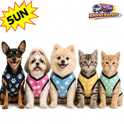 Kit 5 Roupinha N1 Para Cachorro Pequeno Porte Roupa Pet Frio