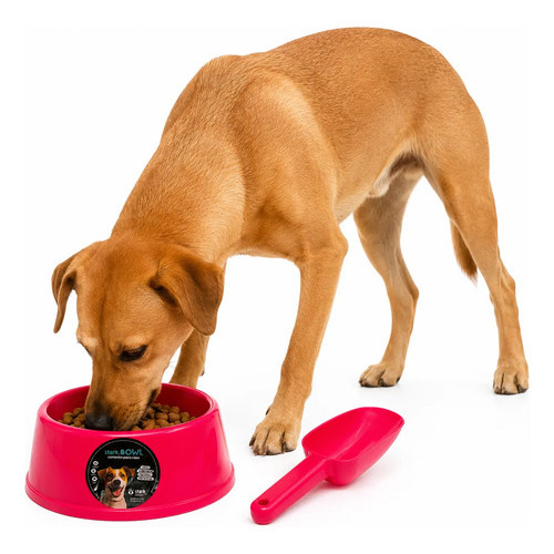 Kit Comedouro Cachorro Médio 550ml Com Concha Para Ração N/a Rosa-chiclete