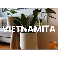 Vaso Inteligente Decorativo Autoirrigável Brota - Linha CONE VIETNAMITA - 90 dias sem regar