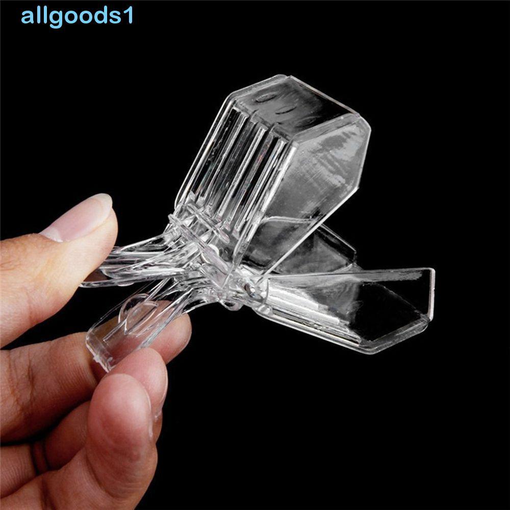 ALLGOODS Abelha Clipe Caixa Insectária Transparente Equipamento De Apicultura Gaiolas De Rainha Apanhador Apicultor Ferr