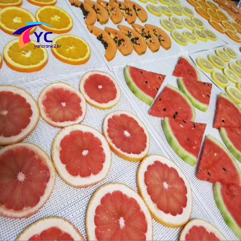 YCBR 1 Unidade De Tapetes Reutilizáveis Para Secador De Alimentos , Almofada De Malha De Silicone Folhas De Desidratador
