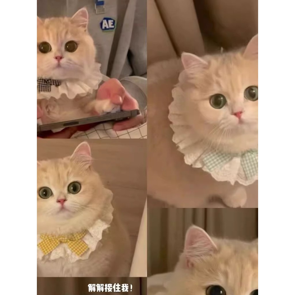 Mint mesmo estilo gato babador princesa gato babador Pet gravata borboleta colar ouro gradiente alemão filhote de cachor
