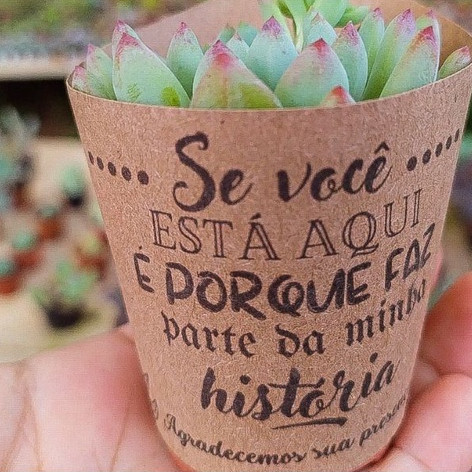 100 Rótulos com frases sortidas para suculentas ,eventos casamentos ,aniversarios ,batizados ..