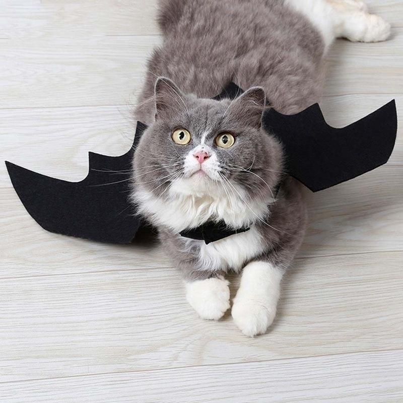 Halloween Bonito Roupas Para Animais De Estimação Preto Asas De Morcego Arnês Traje Cosplay Gato Cão Festa De Suprimento