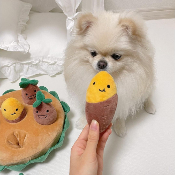 Brinquedo de pelúcia para cães que emite som, brinquedo para animais de estimação, conjunto de brinquedos para puxar em