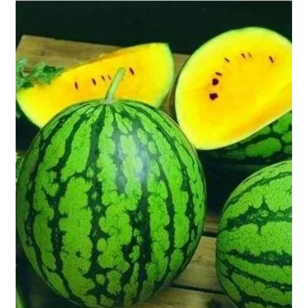 JAAA Sementes de Melancia Amarela Doce Gigante Alta Germinação