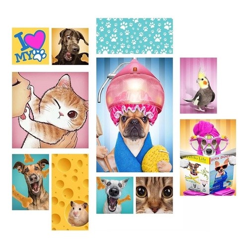 Kit 11 Placas Decorativas Pet Shop Cat Dog Animais