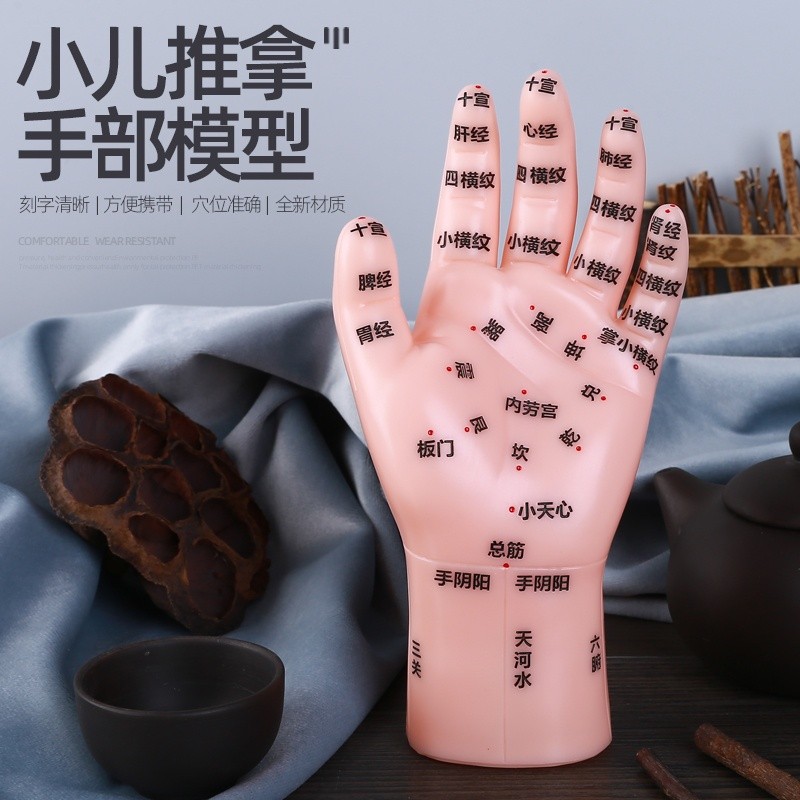 Modelo de acupuntura manual massagem infantil prático prático prático prático acupuntura área de reflexo letras molde co