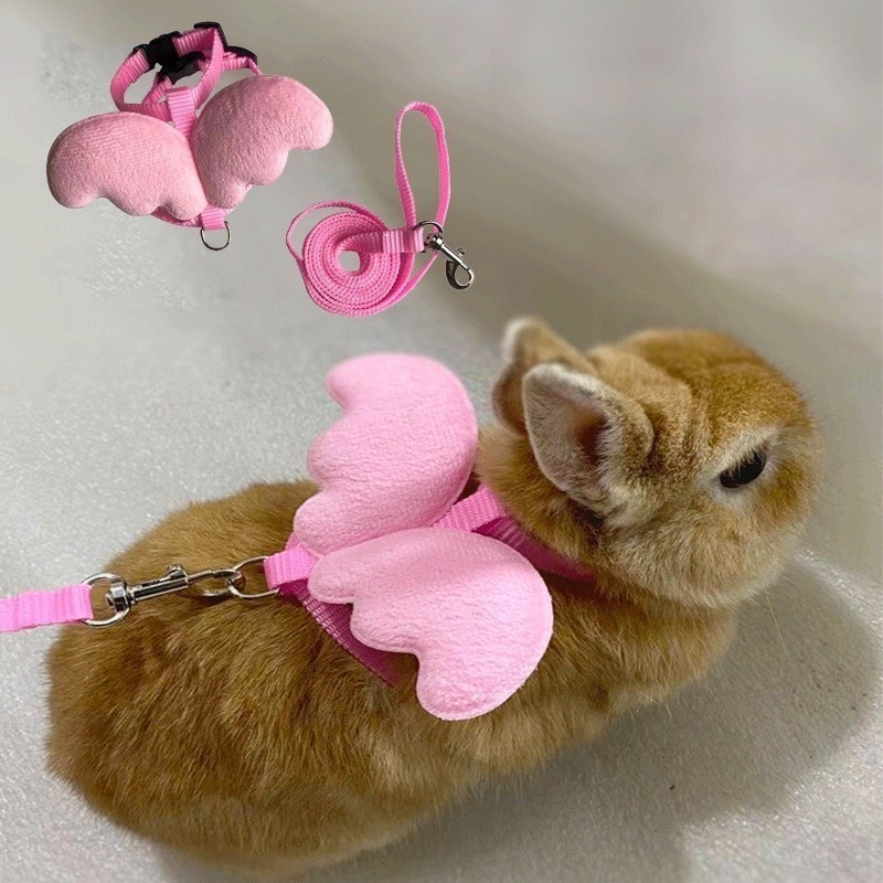 Arnês e Coleira para Coelhos com Asas de Anjo, Acessórios para Animais de Estimação, Roupas para Hamsters e Gatos, Arnês
