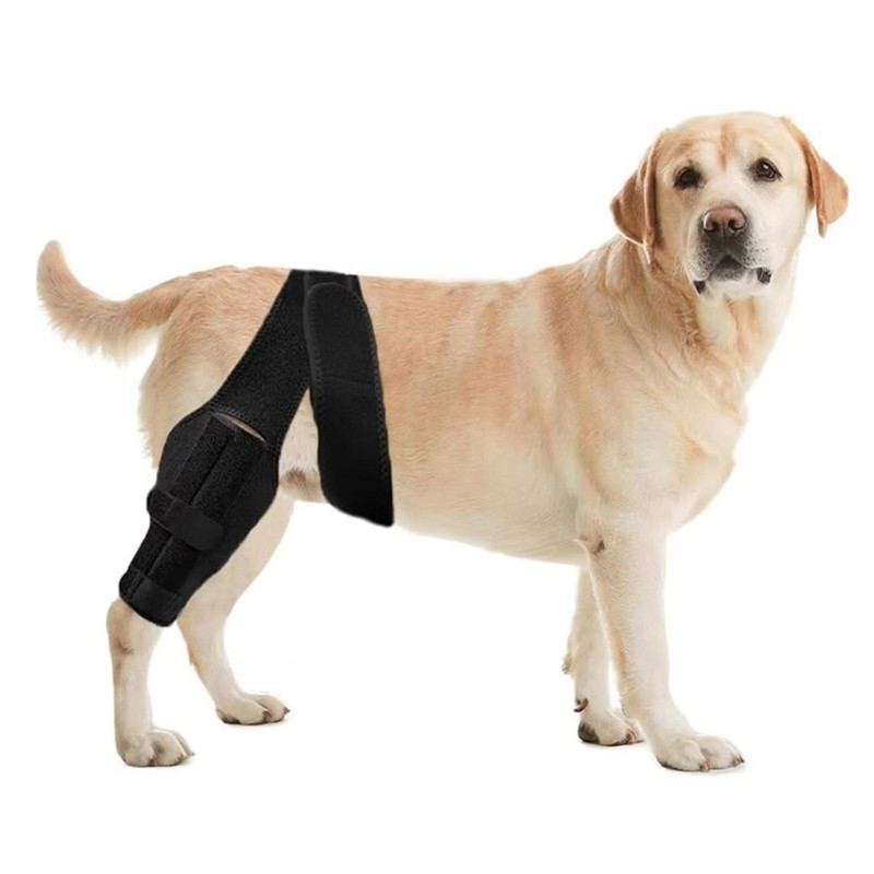 Joelheira Estone Dog Para Rasgada Acls Hinds Leg Brace Estabilizador De Perna Traseira