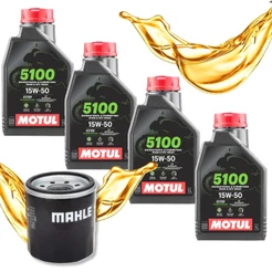 Troca de Óleo Cb 600f Hornet | Cbr 650r Motul 5100 15w50 + Filtro