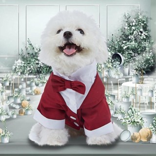 Terno Pet Elegante p/ Cães | Roupa Social com Gravata Borboleta, Confortável e Fofo em Oferta na Shopee