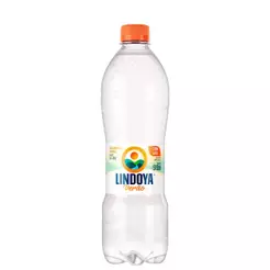 Água Mineral Lindoya Verão Com Gás 510ml