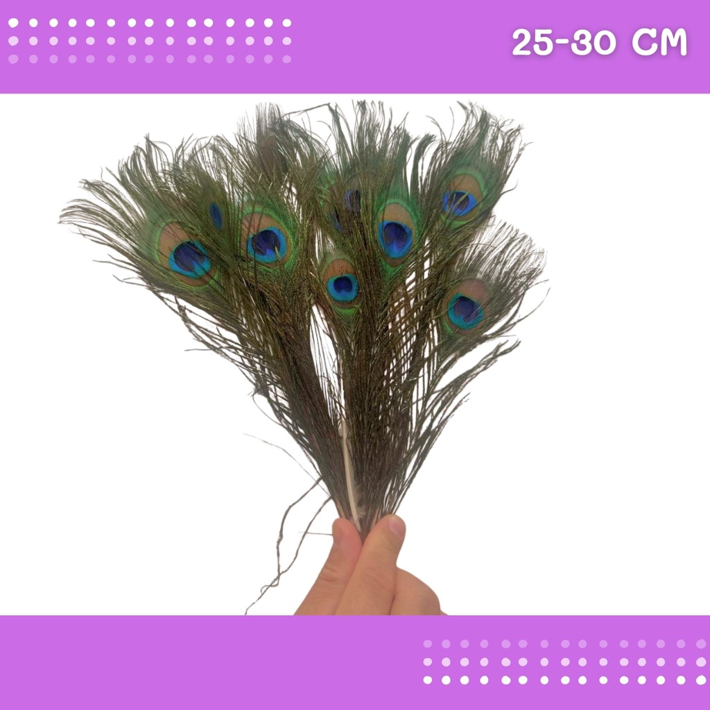 10 Penas de Pavão Natural - Tam: 25-30cm Artesanato, Cocar, Decoração em Oferta na Shopee