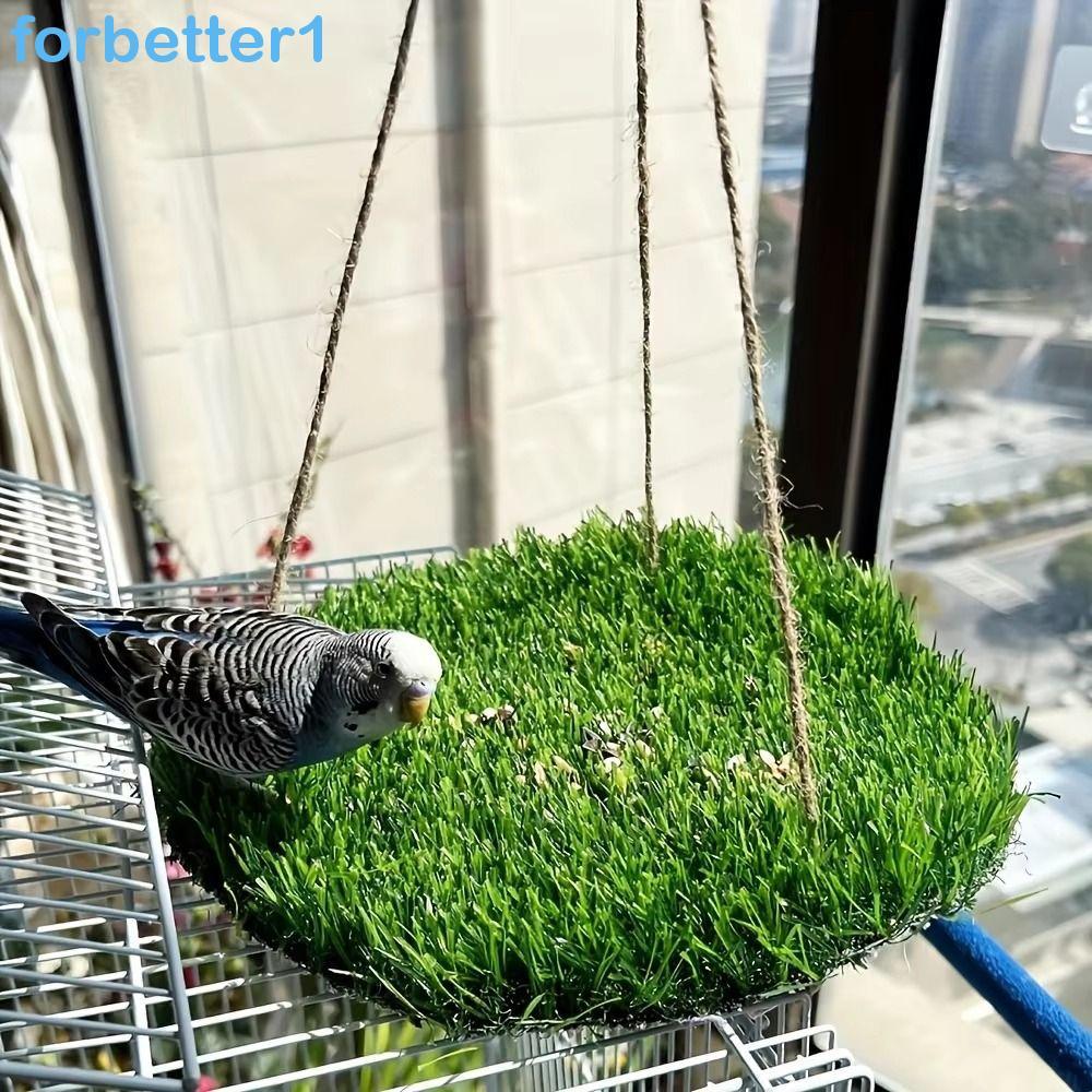 Tapete De Balanço Para Pássaros FORBETTER , Cama De Dormir De Hamster Redonda/Quadrada De Grama Artificial , Com Ganchos