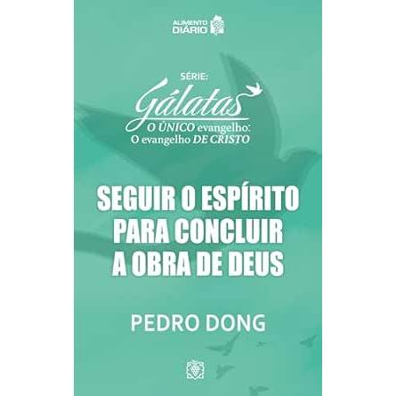 Livro Seguir o Espírito para concluir a obra de Deus - USADO