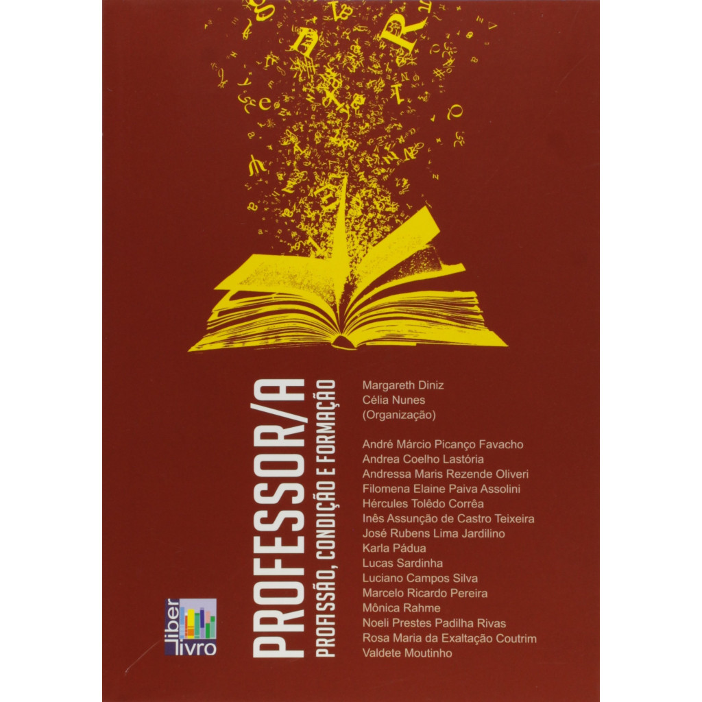 Professor. A Profissão, Condição e Formação