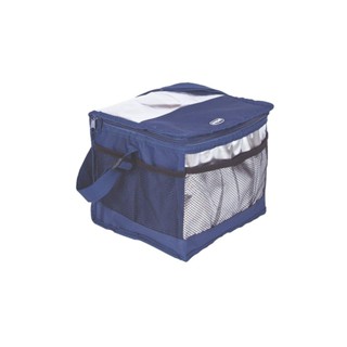 Bolsa Térmica Fitness Camping 10 Litros Mor em Oferta na Shopee