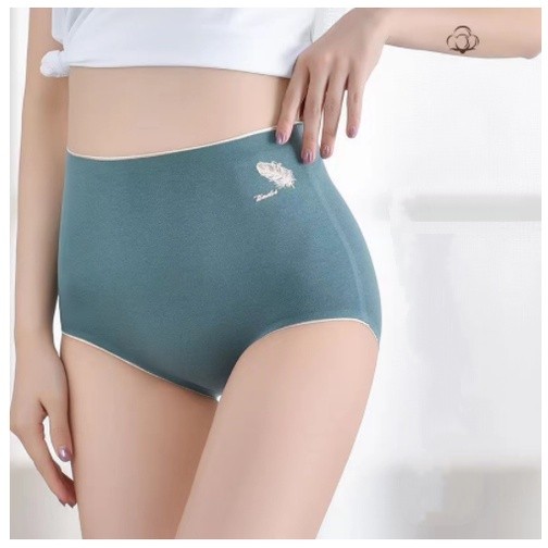 Cuecas De Algodão Sem Rastros Roupa Interior Antibacteriana Feminina Quadril Levantado Grafeno