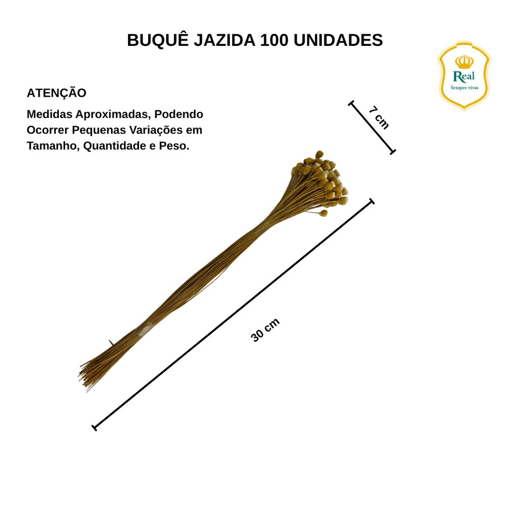 kit com até 400 Flor Sempre Viva Jazida, Jazidas Coloridas, Flor seca, Flor desidratada