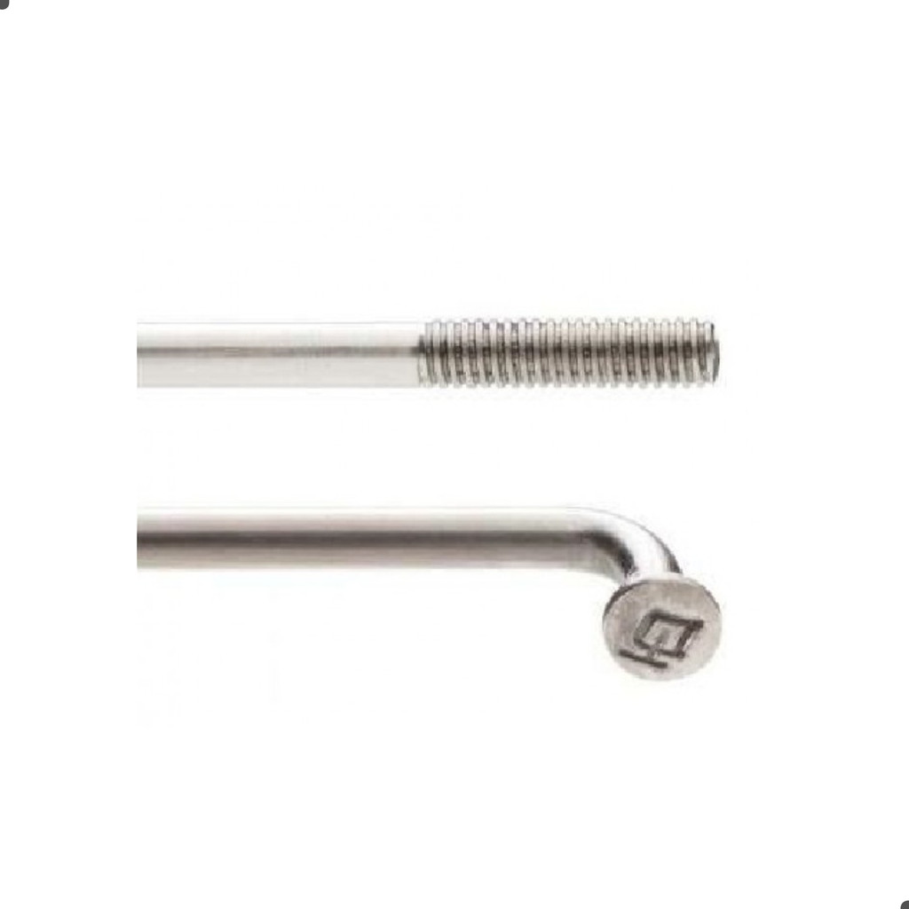 Raio Dt Swiss Champion 2.0 X 298mm  J-bend Prata - 28 Un