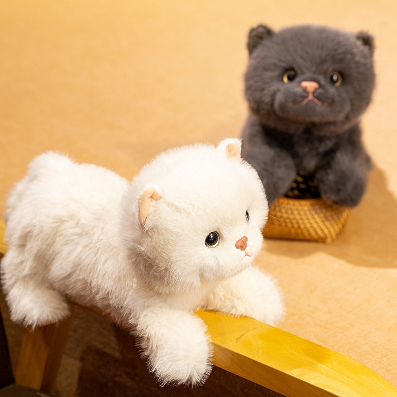Adorável Estilo Britânico Shorthair Gato Pelúcia Cinza E Branco Macio Fofo Gatinho Boneca Expressa