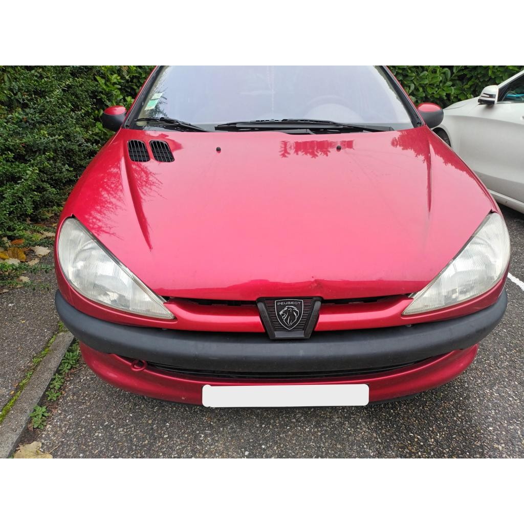 Emblema Leão Peugeot 206 Grade Frontal Original – Logotipo Cromado de Reposição Moderna